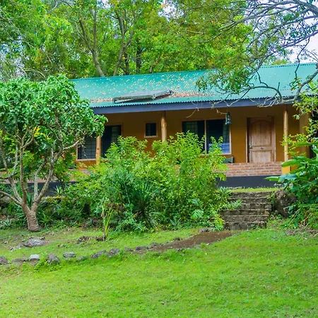 Meru Mbega Lodge Usa River Exterior photo