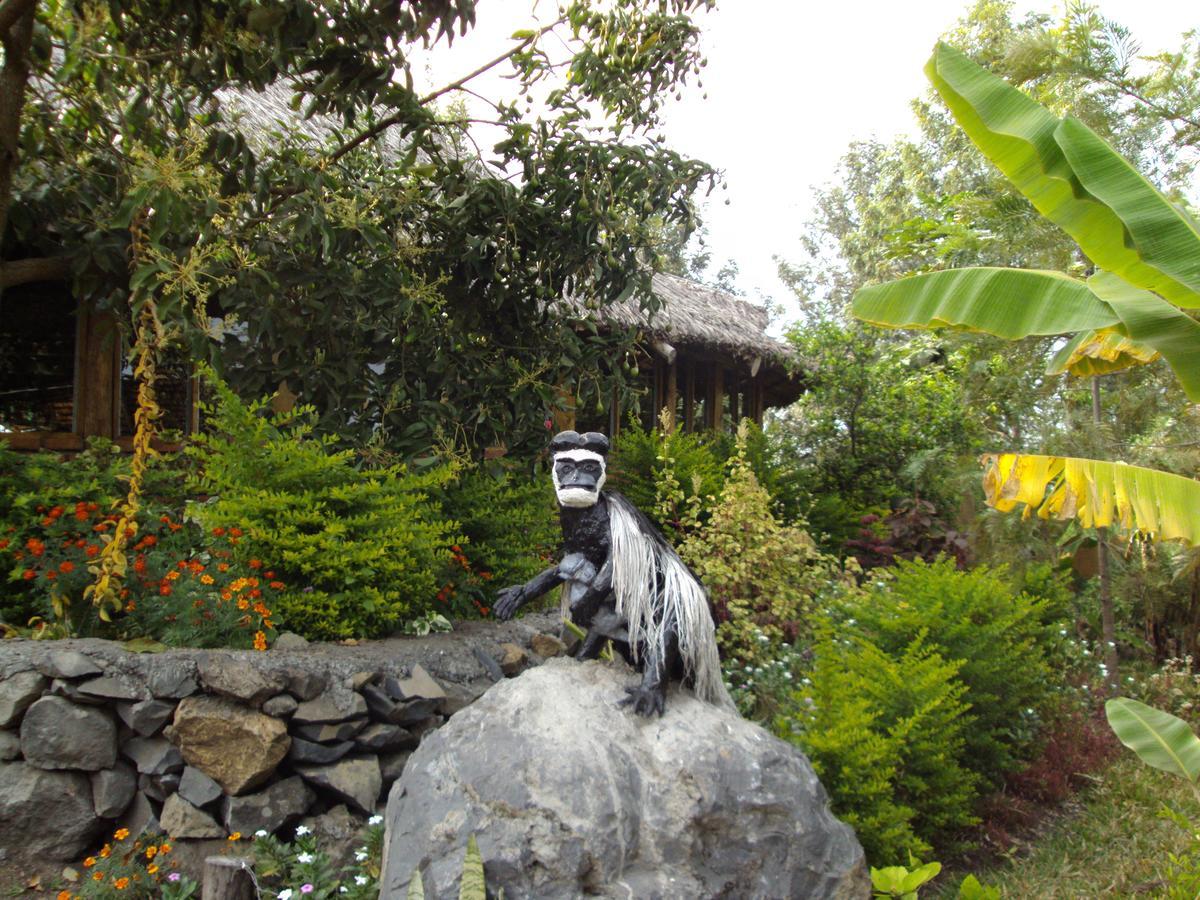 Lodge Meru Mbega