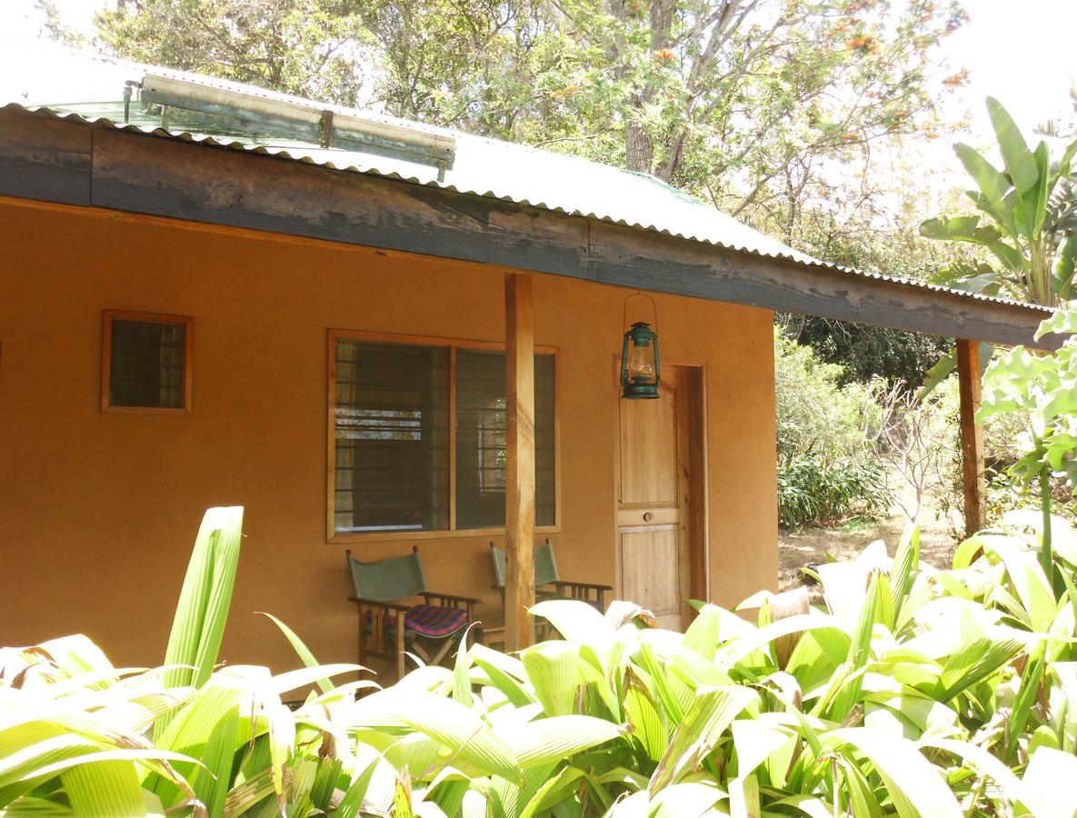 Lodge Meru Mbega